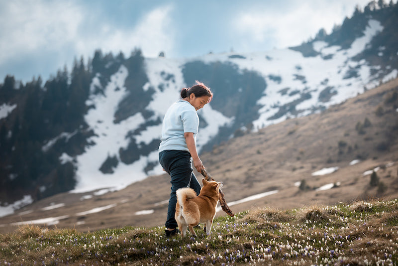 Mit der Hundeschule Dakini auf Hundewanderung auf dem Laternliweg auf der Schwägalp. Jetzt anmelden!