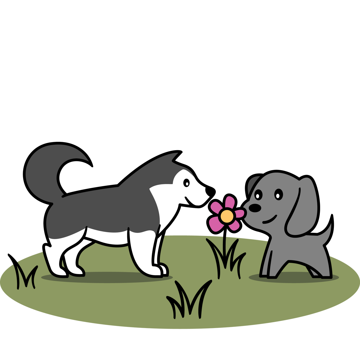 Besuche jetzt den Crash-Kurs Hundekontakt bei der Hundeschule Dakini.