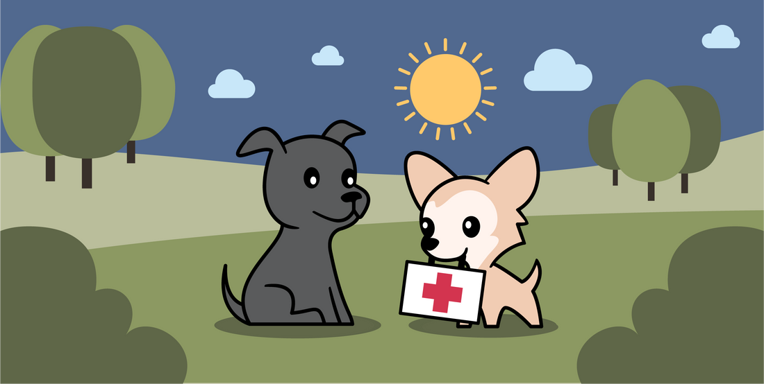 Wie Hunde Schmerzen fühlen
