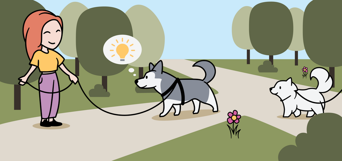 Hundeschule Dakini | 4 Schritte zum entspannten Leinenhandling - deine Hundeschule in Winterthur und online. Buche jetzt deinen Kurs bei uns!