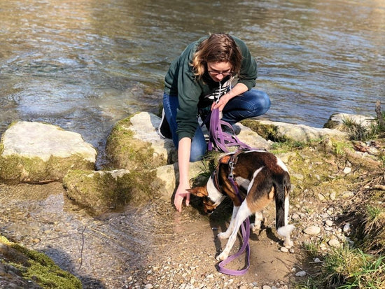 LISA MIT MUSU