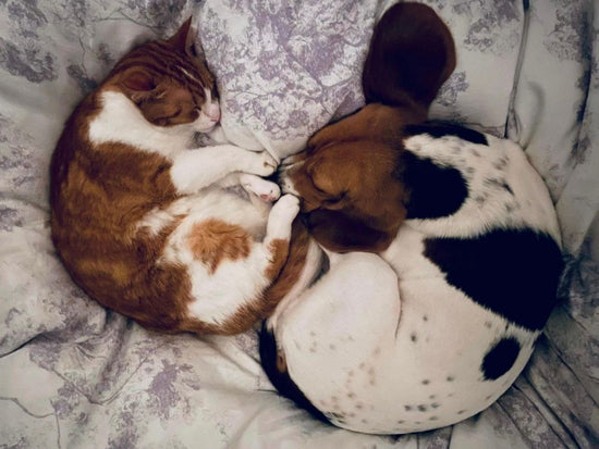 NADJA UND GIUSI MIT KIRA