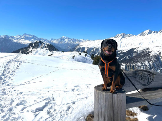 TANJA UND PASCAL MIT MYLO