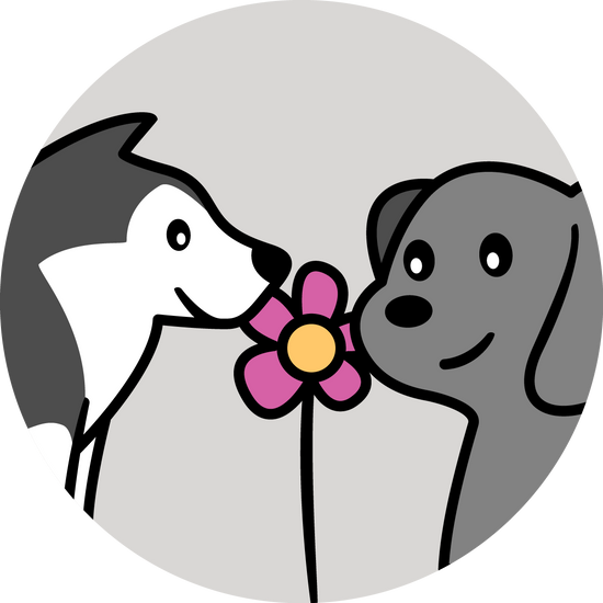 Praktische Hundeausbildung