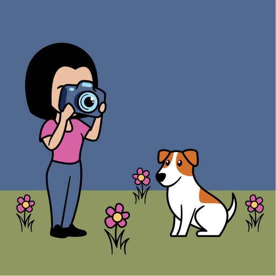 Hundefotografie