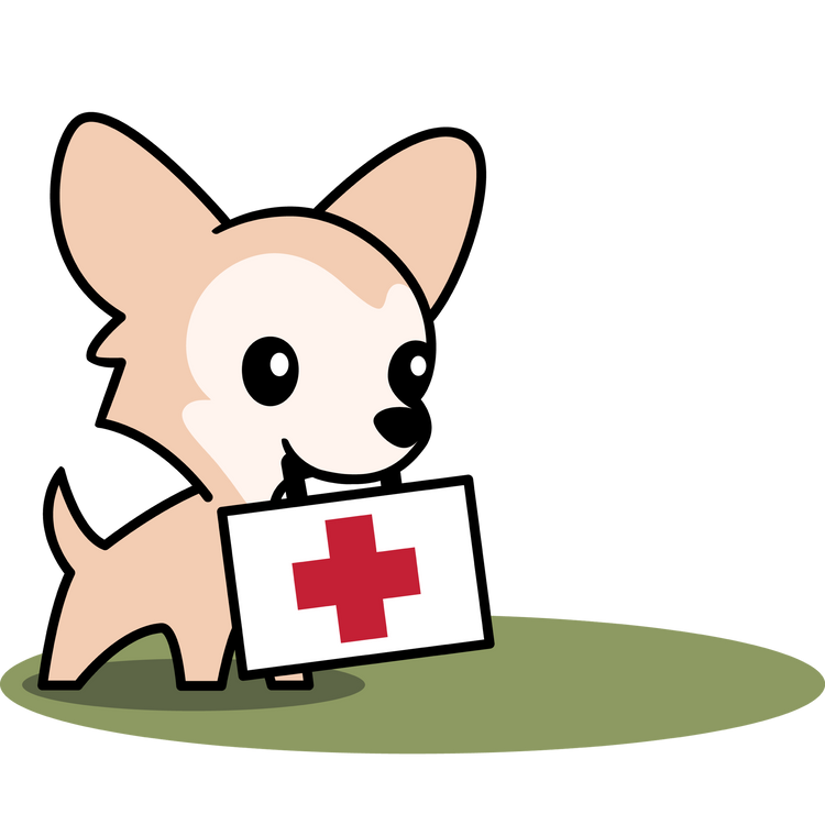 Wie leiste ich erste Hilfe am Hund? Jetzt Workshop buchen & für Notfallsituationen gewappnet sein ✓ Dakini, deine Hundeschule in Winterthur & online.