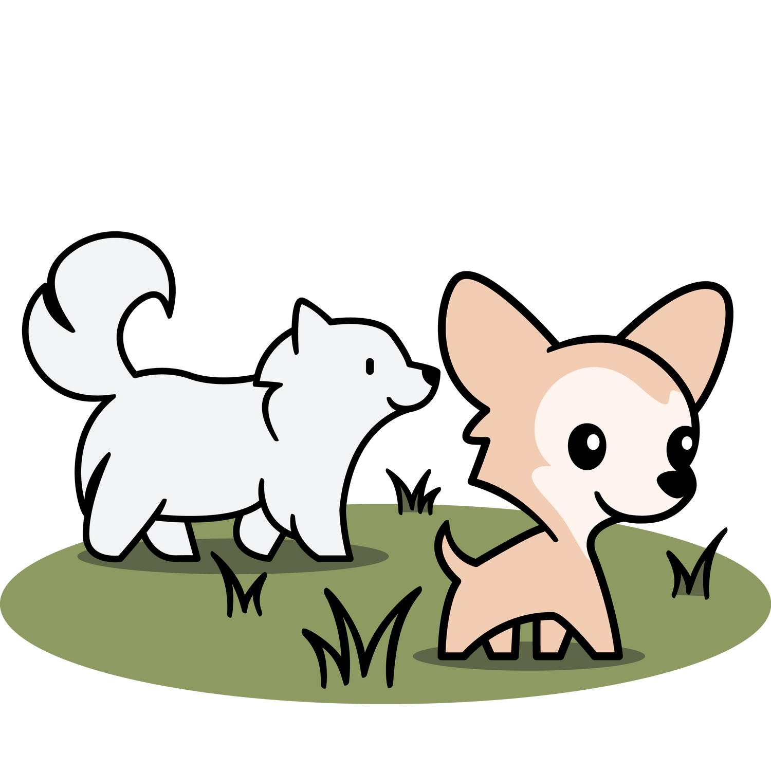 Deinen Hund richtig verstehen? Jetzt Sozialen Spaziergang buchen & miteinander wachsen ✓ Dakini, deine Hundeschule in Winterthur & online.
