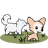 Deinen Hund richtig verstehen? Jetzt Sozialen Spaziergang buchen & miteinander wachsen ✓ Dakini, deine Hundeschule in Winterthur & online.